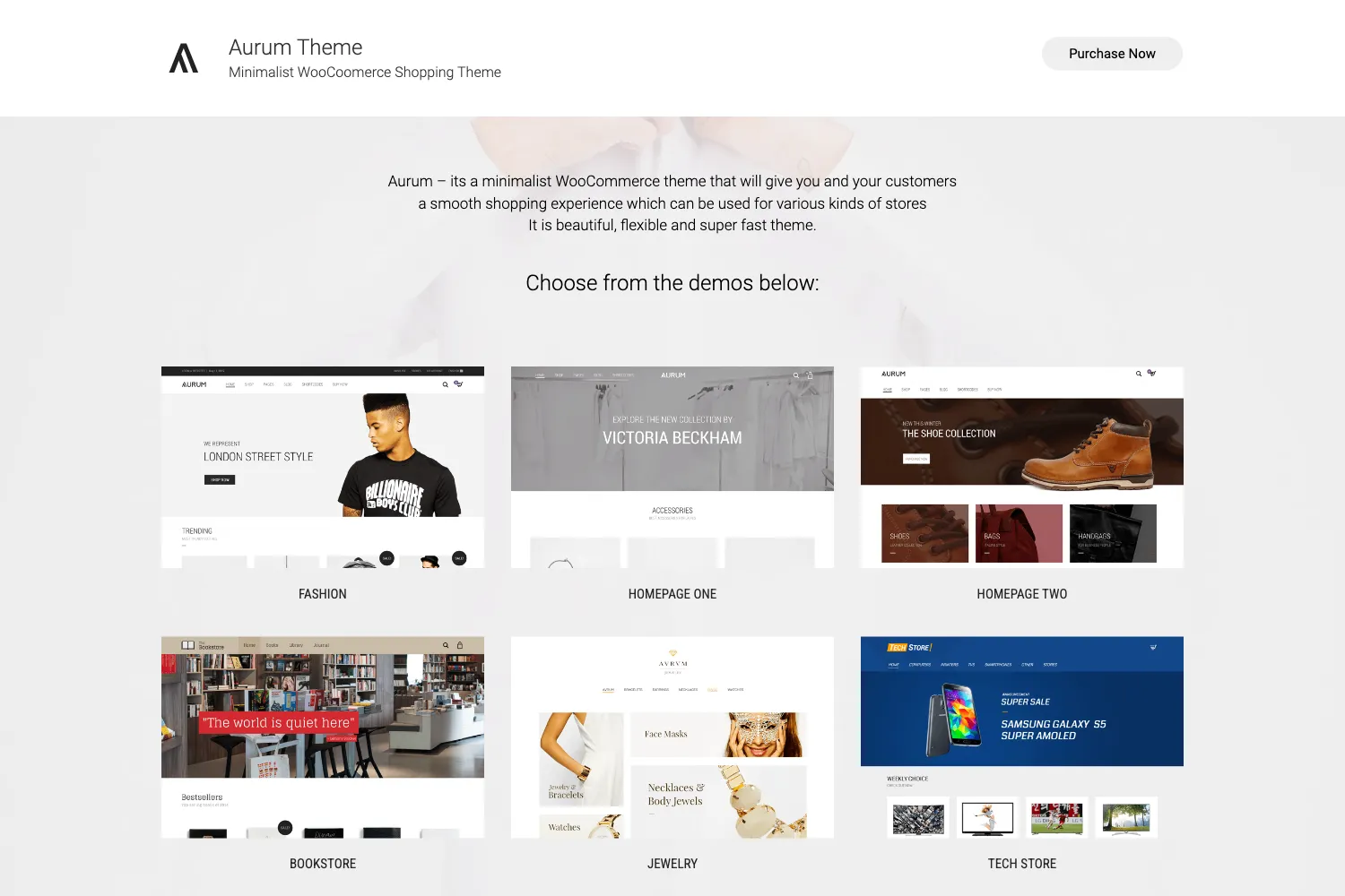 Aurum - WordPress & WooCommerce Shopping Theme